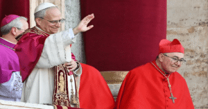pope leo xiv political views​
