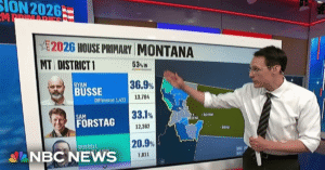 primary elections results