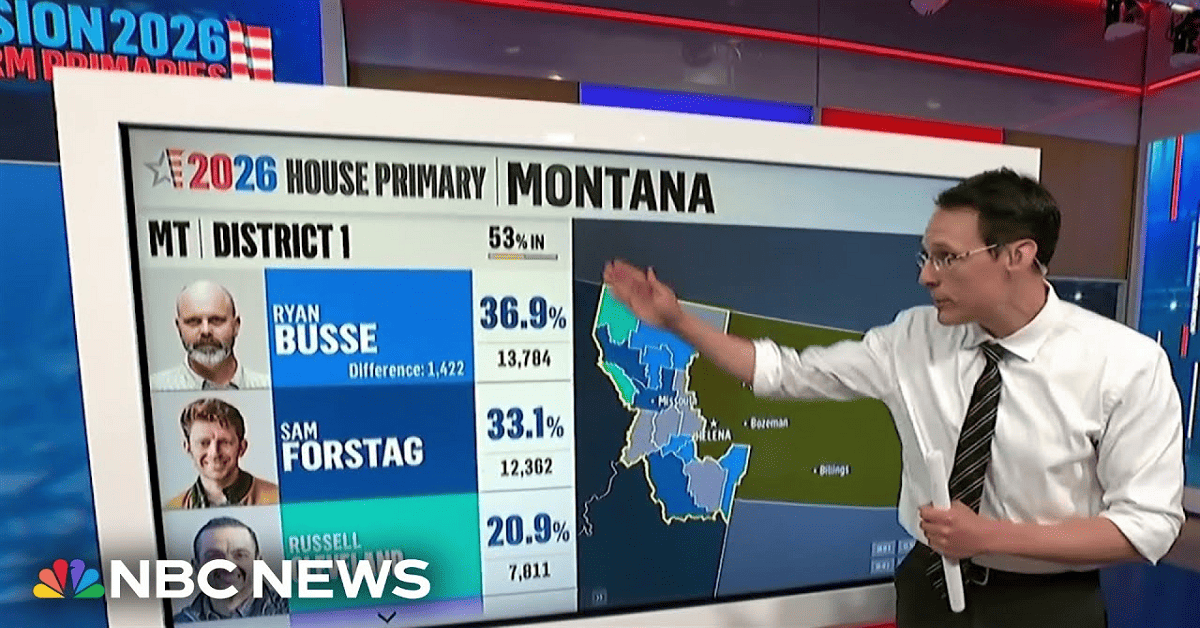 primary elections results