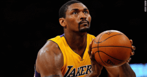 metta world peace basketball​
