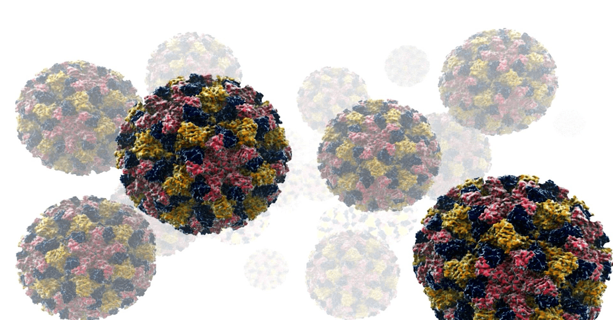 norovirus