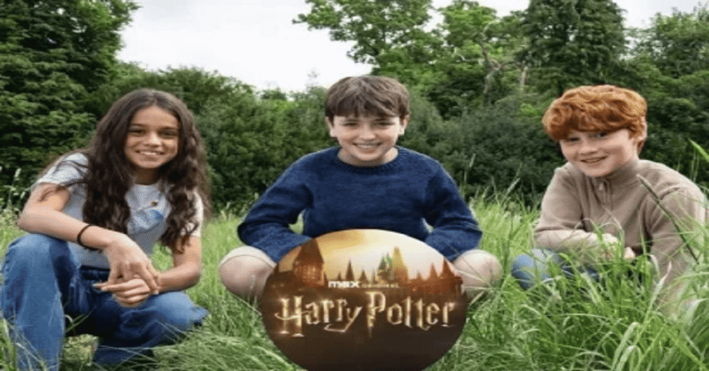 harry potter tv series